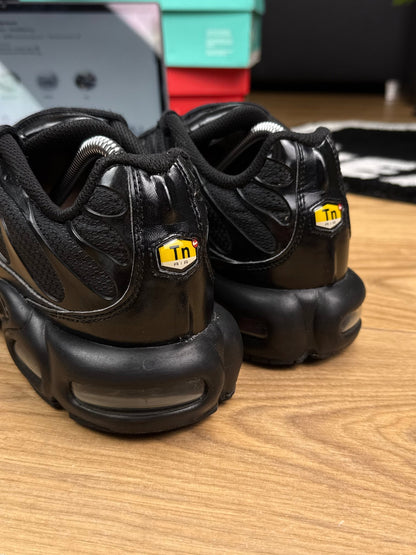 Nike Air Max Plus (44)