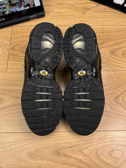 Nike Air Max Plus (44)