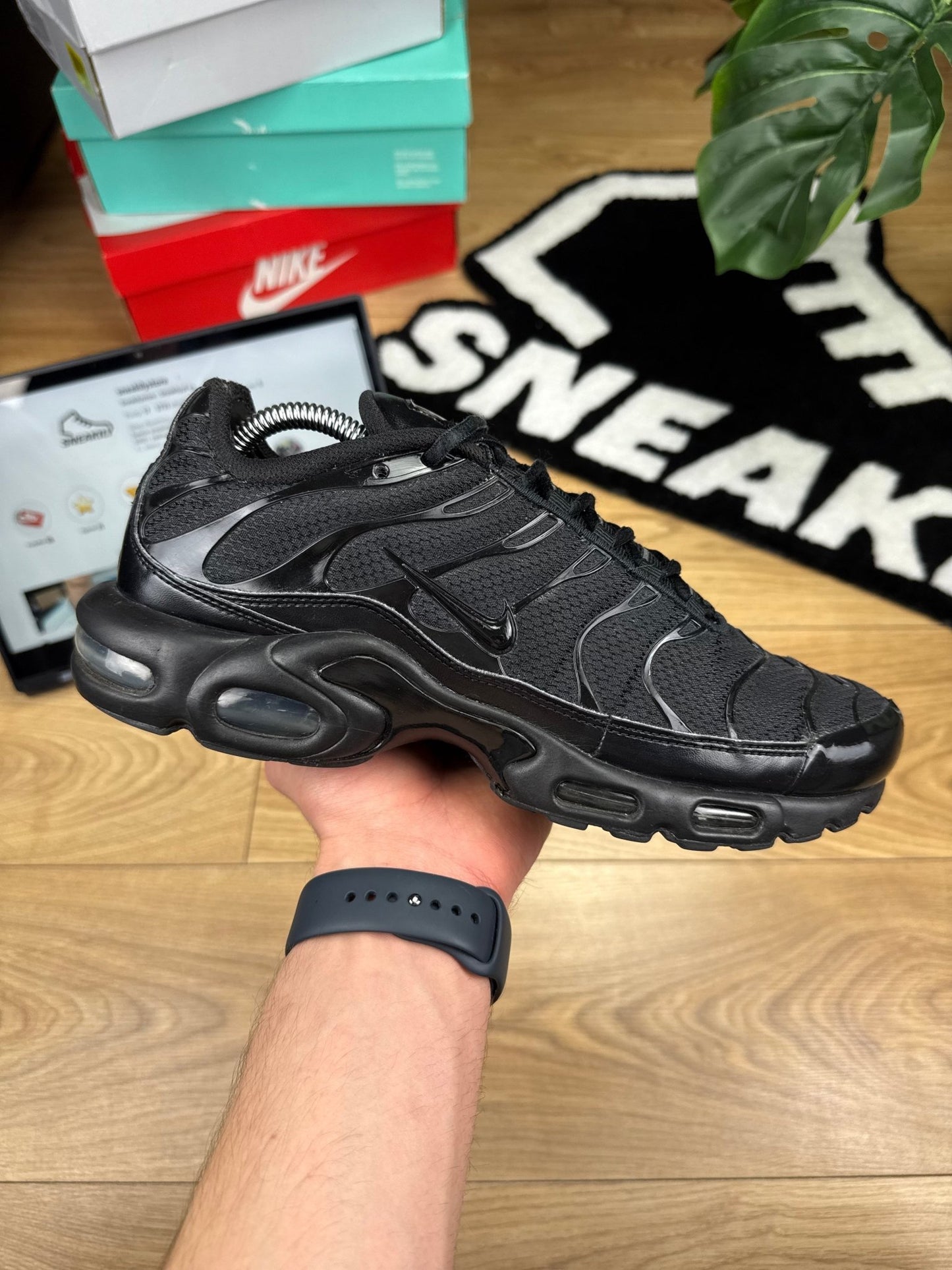 Nike Air Max Plus (44)