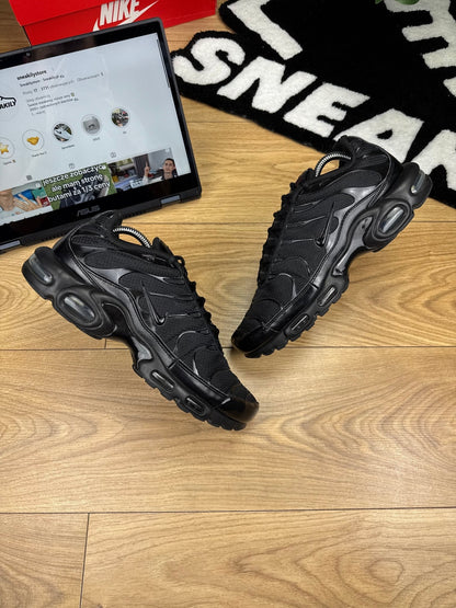 Nike Air Max Plus (44)