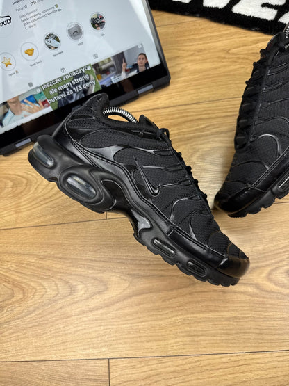 Nike Air Max Plus (44)
