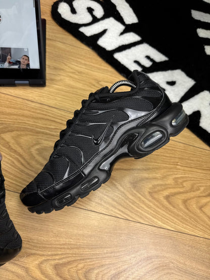Nike Air Max Plus (44)