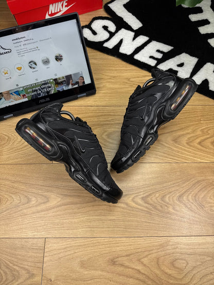 Nike Air Max Plus (44)