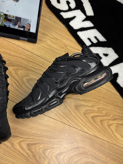 Nike Air Max Plus (44)