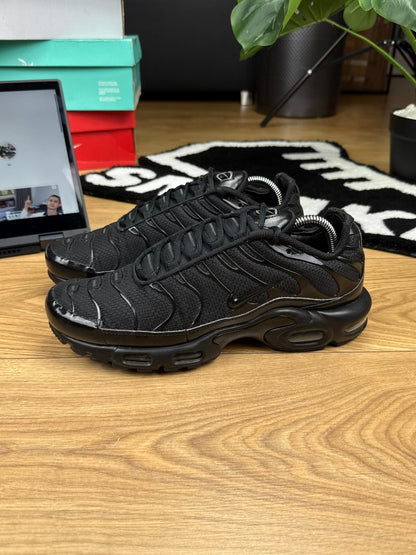 Nike Air Max Plus (44)