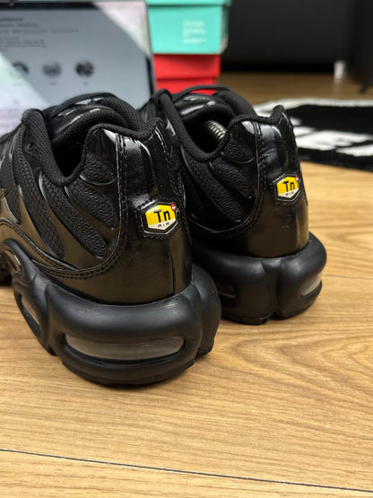 Nike Air Max Plus (45.5) - sneakilystore