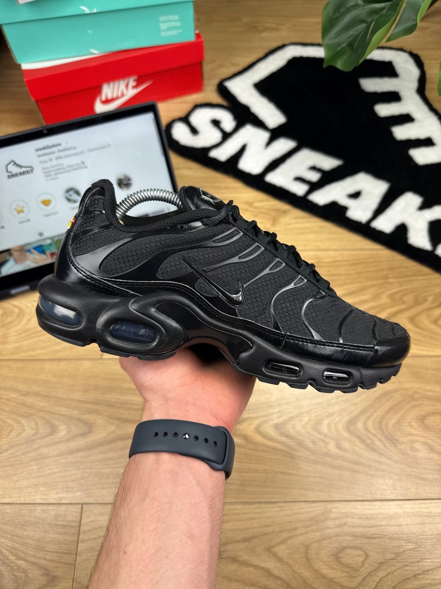 Nike Air Max Plus (42.5)