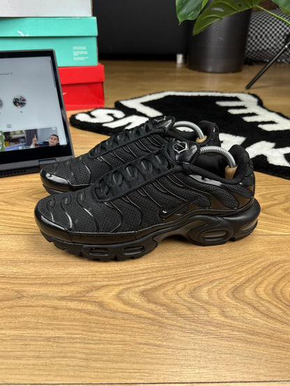 Nike Air Max Plus (42.5)
