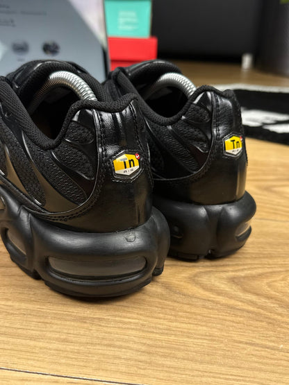 Nike Air Max Plus (42.5)