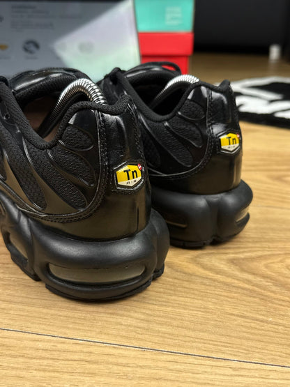 Nike Air Max Plus (42.5)