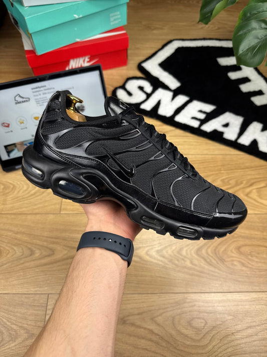 Nike Air Max Plus (45.5)