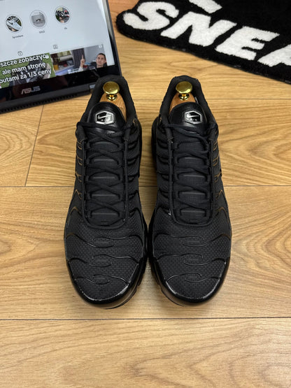 Nike Air Max Plus (45.5)