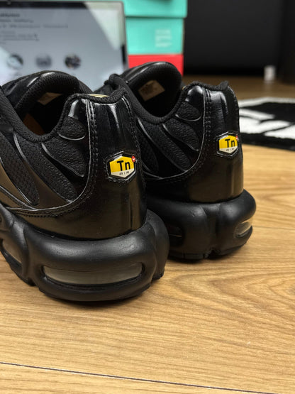 Nike Air Max Plus (45.5)