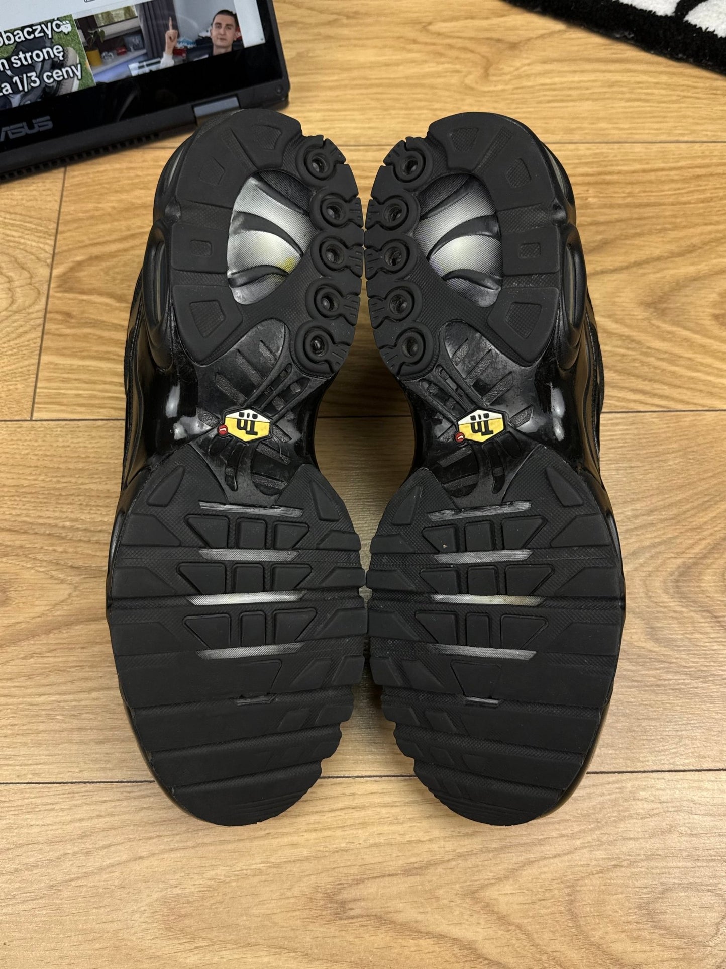 Nike Air Max Plus (45.5)