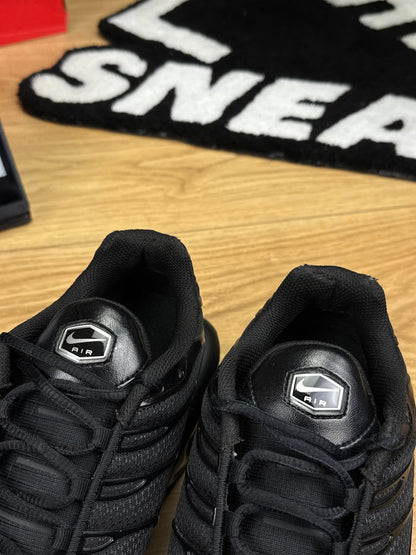 Nike Air Max Plus (45.5)