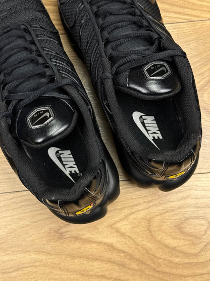 Nike Air Max Plus (45.5)