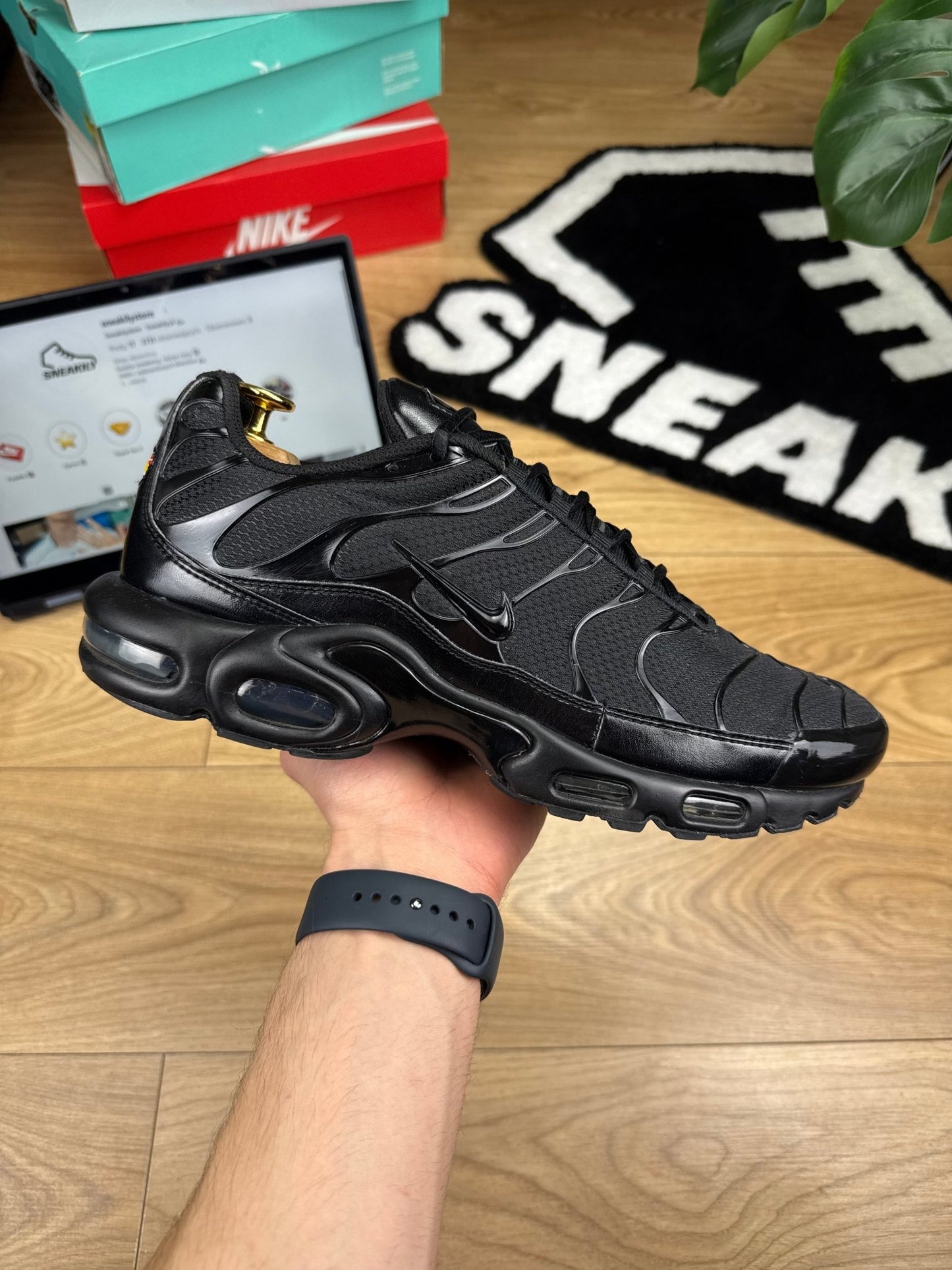 Nike Air Max Plus (45.5)