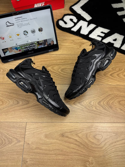 Nike Air Max Plus (45.5)