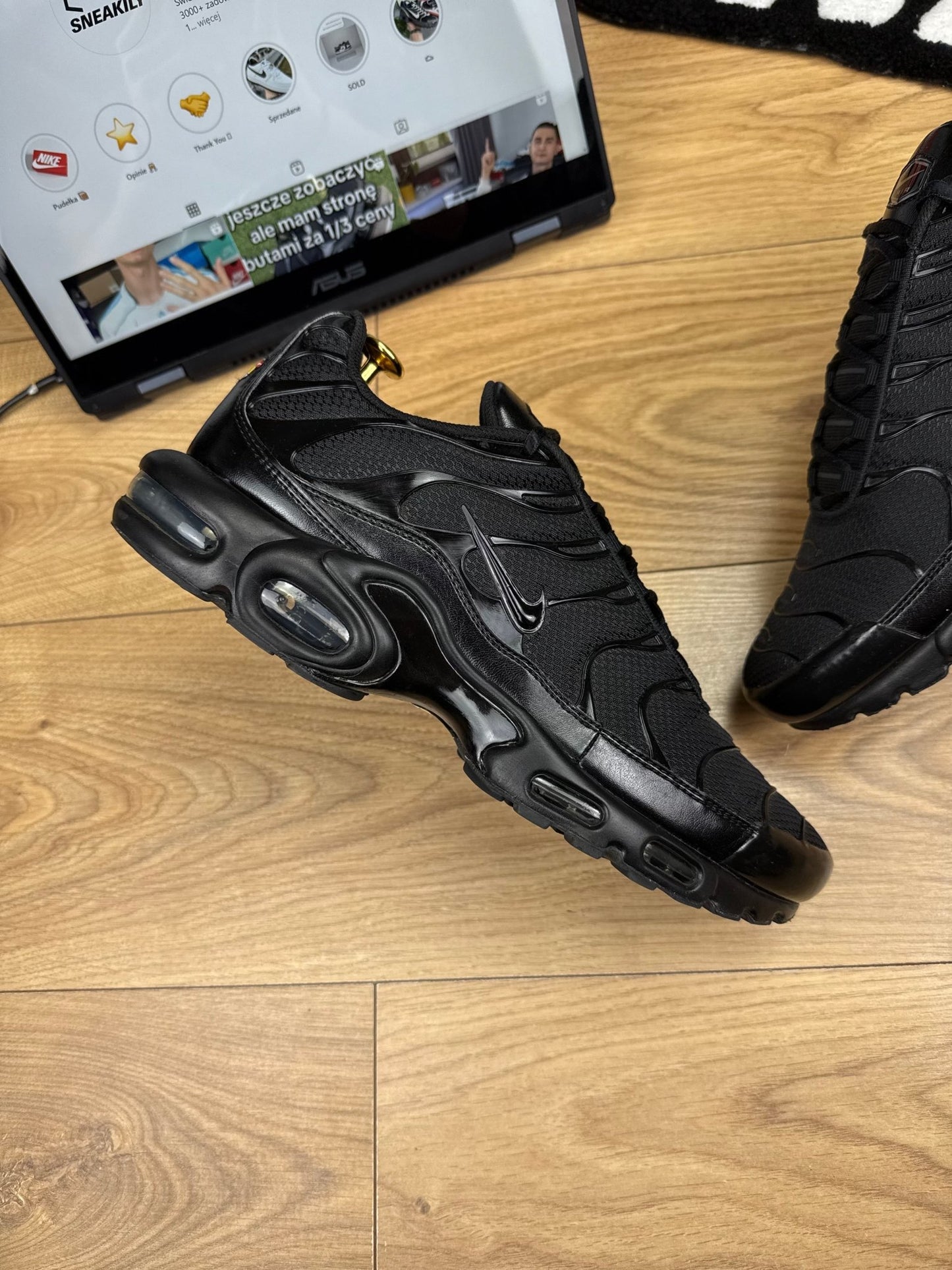 Nike Air Max Plus (45.5)