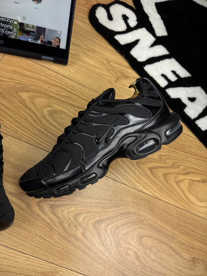 Nike Air Max Plus (45.5)