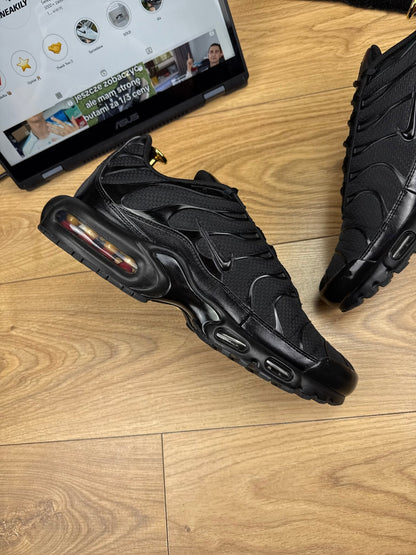 Nike Air Max Plus (45.5)