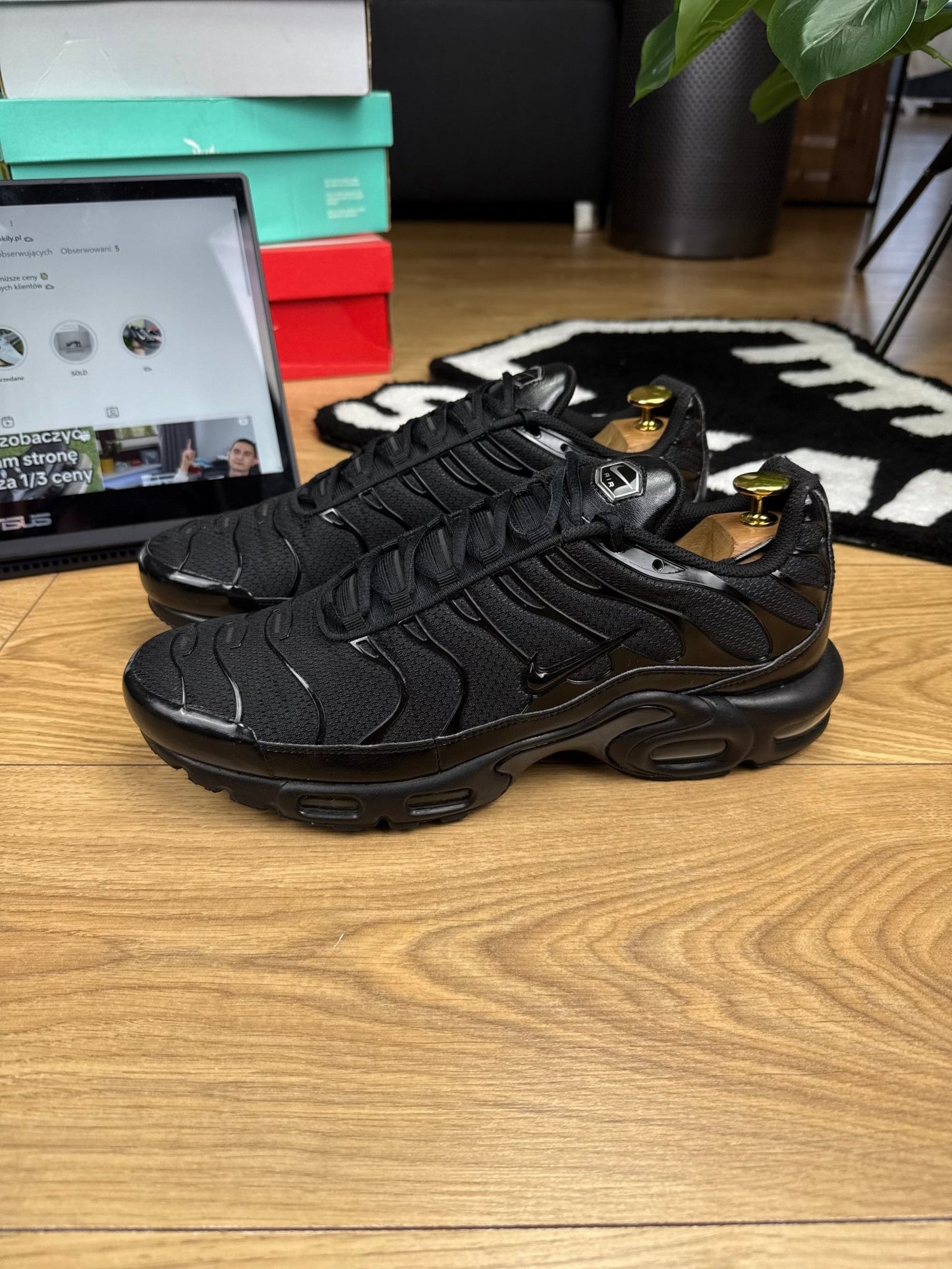 Nike Air Max Plus (45.5)