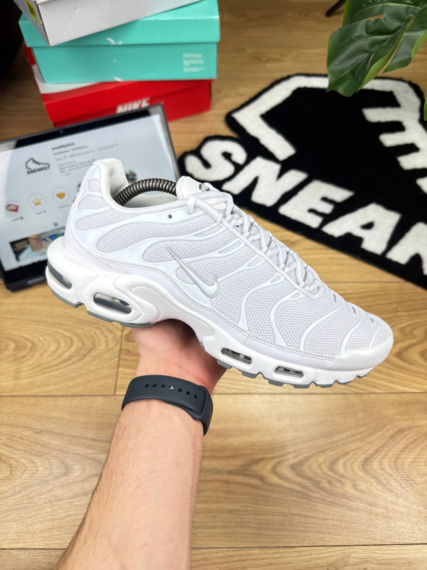 Nike Air Max Plus (44)
