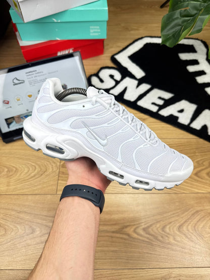 Nike Air Max Plus (44)