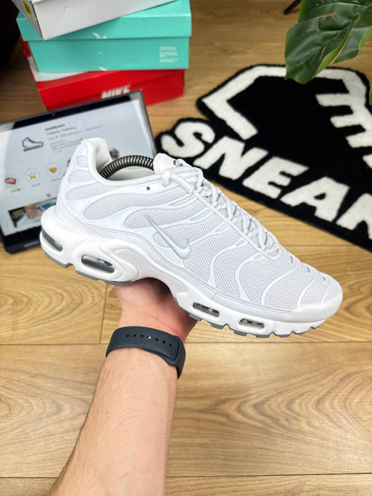 Nike Air Max Plus (44)