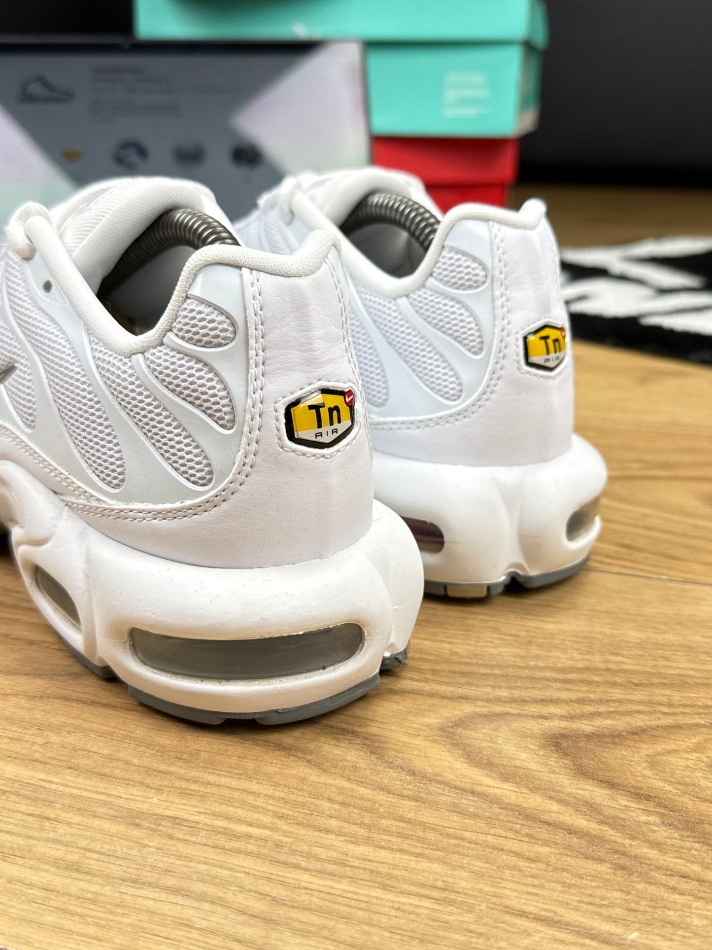 Nike Air Max Plus (44)
