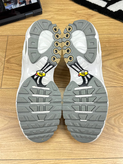 Nike Air Max Plus (44)