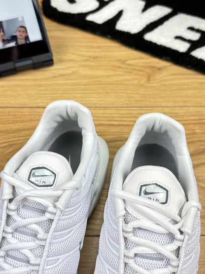 Nike Air Max Plus (44)