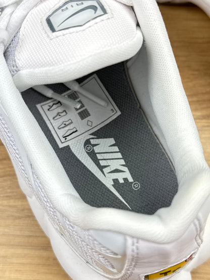 Nike Air Max Plus (44)