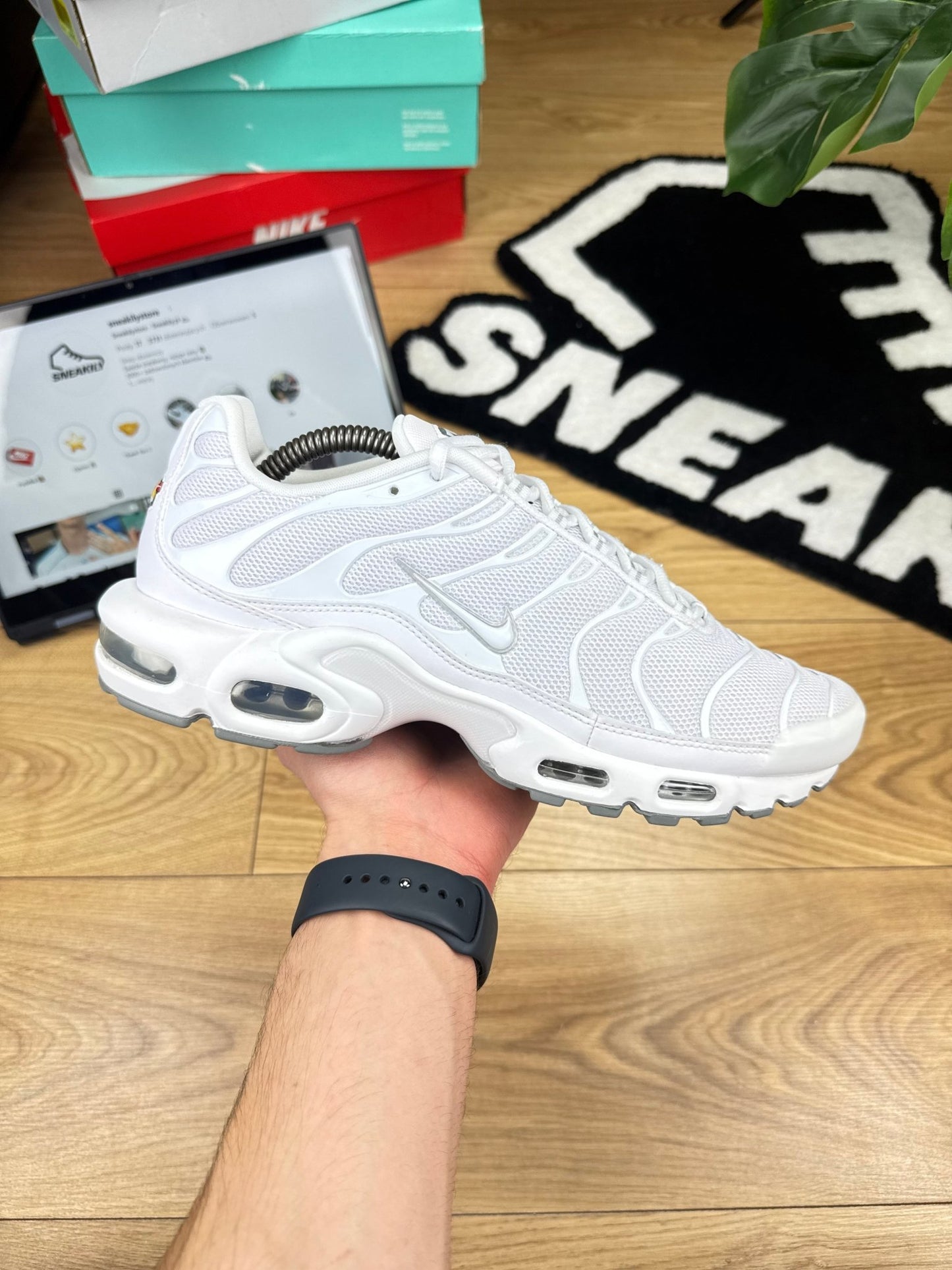 Nike Air Max Plus (44)