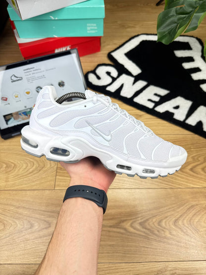 Nike Air Max Plus (44)
