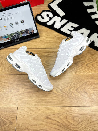 Nike Air Max Plus (44)