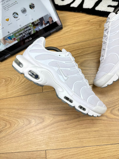 Nike Air Max Plus (44)