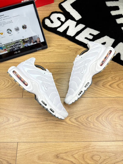 Nike Air Max Plus (44)