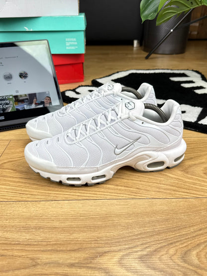 Nike Air Max Plus (44)