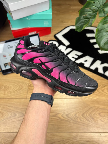 Nike Air Max Plus (43)