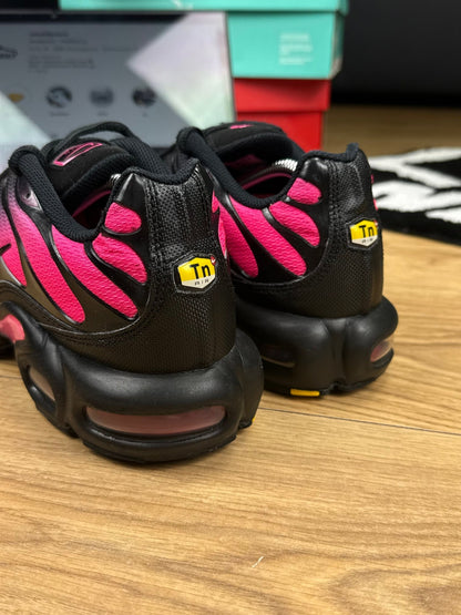 Nike Air Max Plus (43)