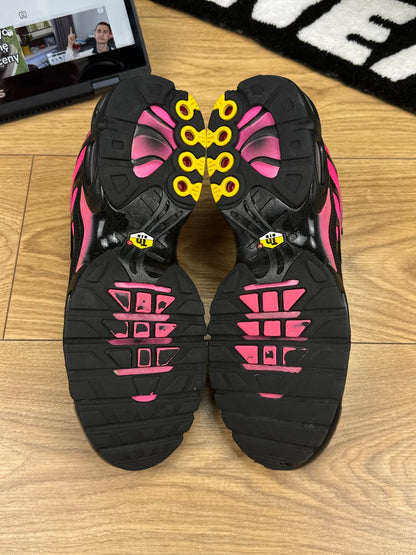 Nike Air Max Plus (43)