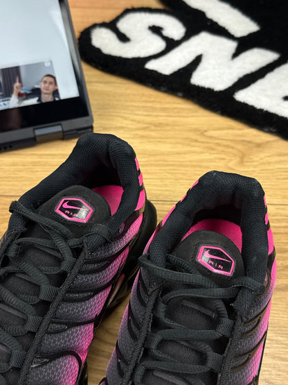Nike Air Max Plus (43)