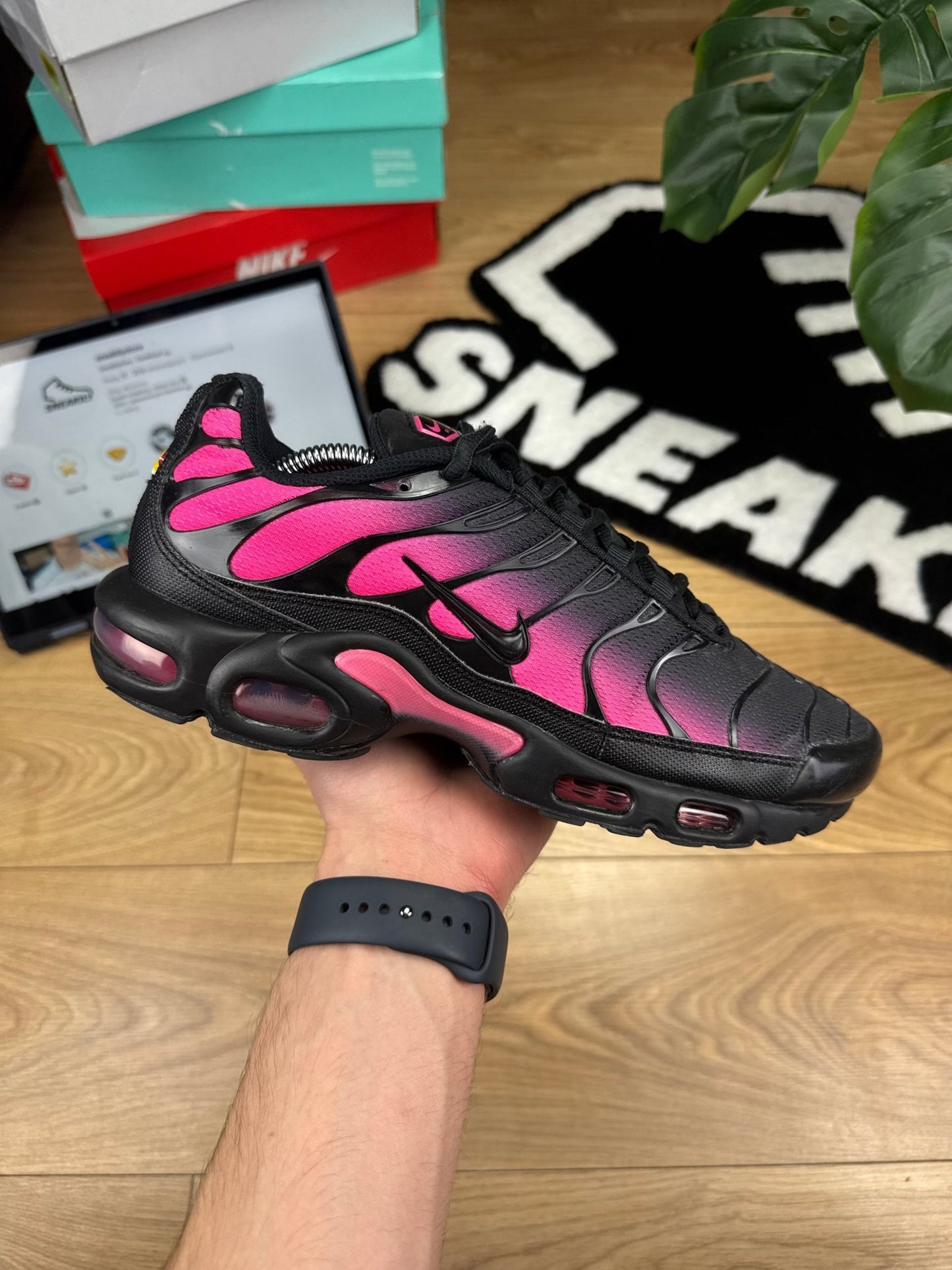 Nike Air Max Plus (43)