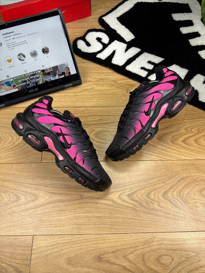 Nike Air Max Plus (43)