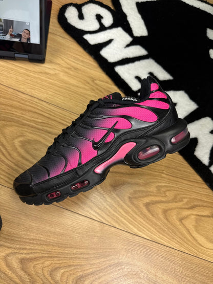 Nike Air Max Plus (43)