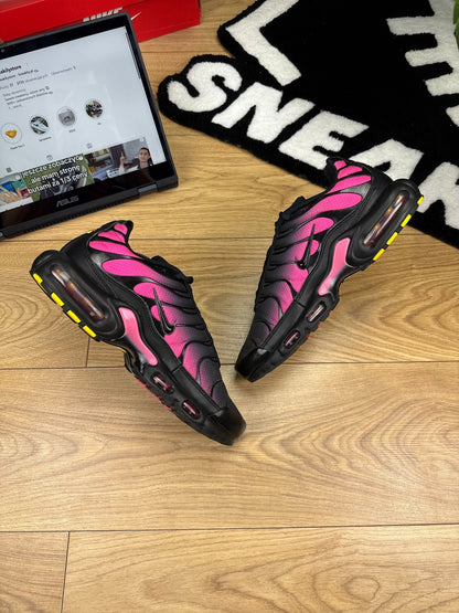 Nike Air Max Plus (43)