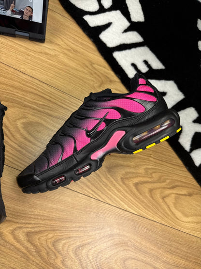 Nike Air Max Plus (43)