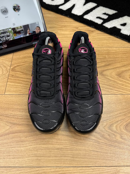 Nike Air Max Plus (42.5)