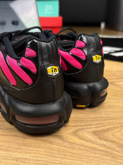 Nike Air Max Plus (42.5)